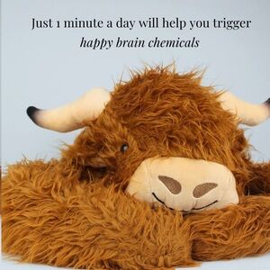 🐮NWT ‘Pulse of Potential’ Weighted Highland Cow